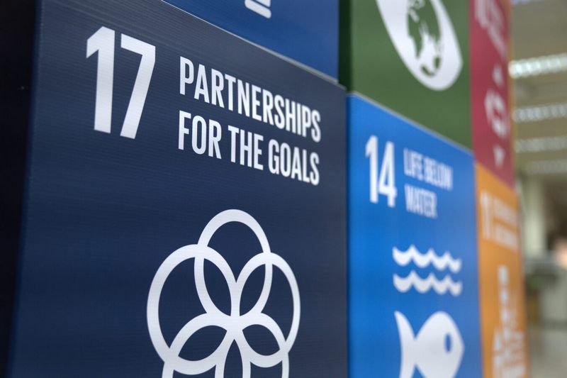 SDG 17 cube