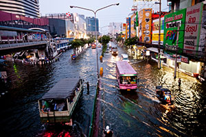 Technical Working Group on Disaster-related Statistics in Asia and the Pacific (TWG)